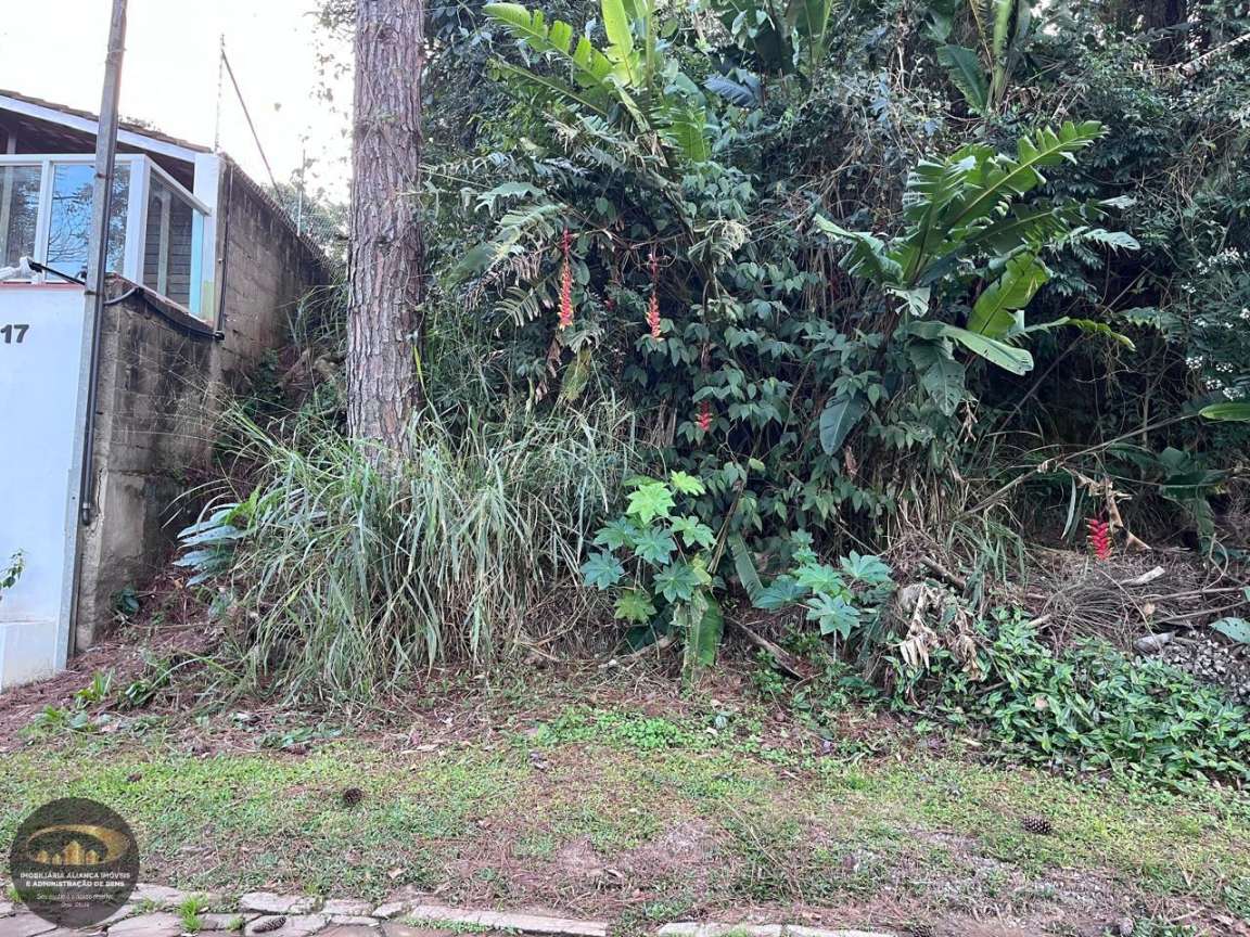 Terreno, 635 m² - Foto 3